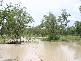 MARYFIELD STATION,, Larrimah NT 0852
