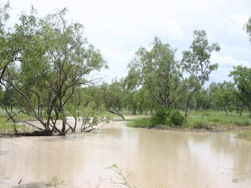 MARYFIELD STATION,, Larrimah NT 0852