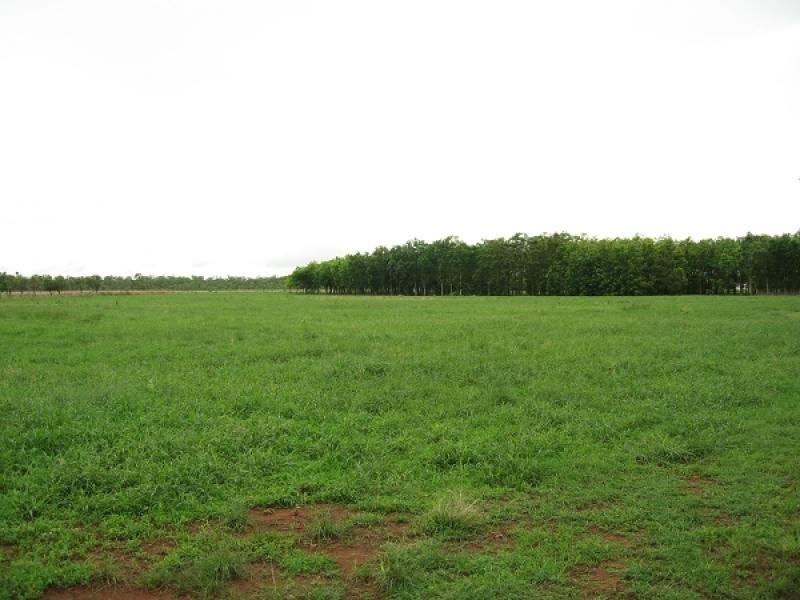 5233 Napier Rd, Katherine NT 0850