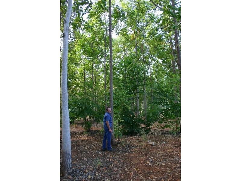 5233 Napier Rd, Katherine NT 0850