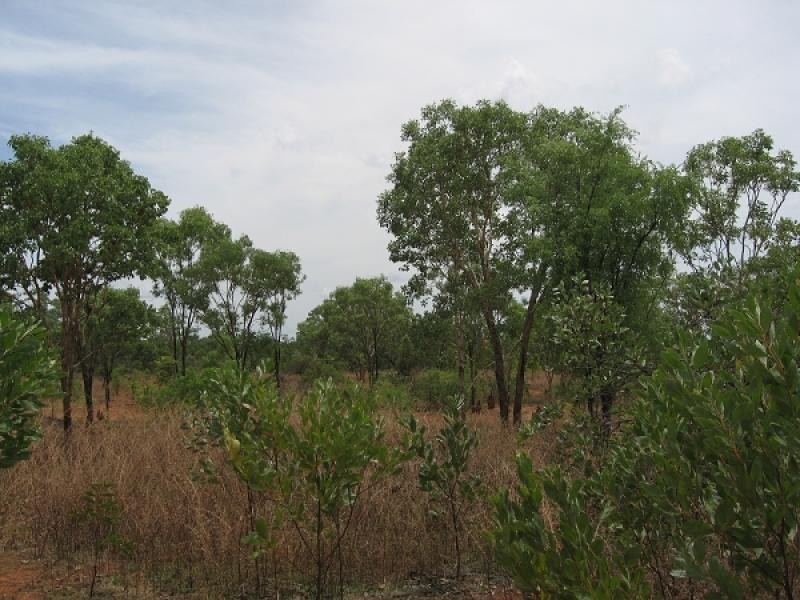 Lot 6459, 1595 Florina Rd, Katherine NT 0850