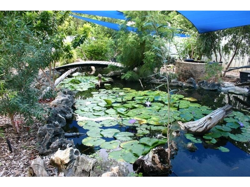 4 Walter Young St, Katherine NT 0850