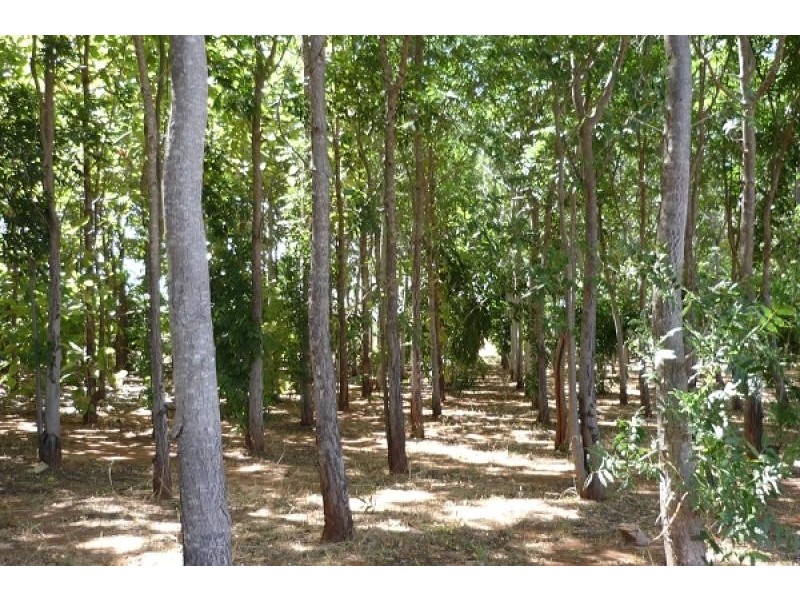 5233 Napier Rd, Katherine NT 0850