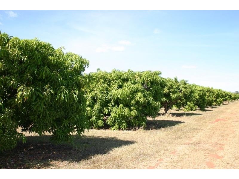 5233 Napier Rd, Katherine NT 0850