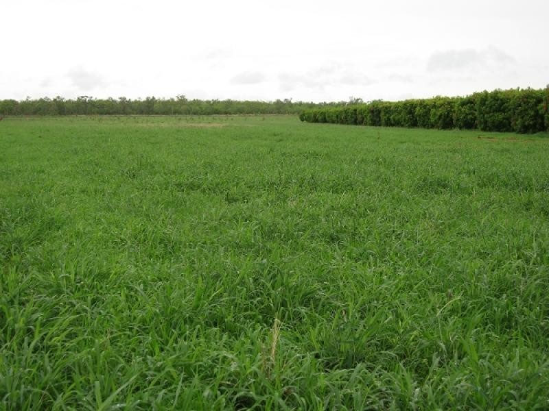 5233 Napier Rd, Katherine NT 0850