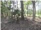 Glenwood QLD 4570