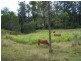 Glen Echo QLD 4570