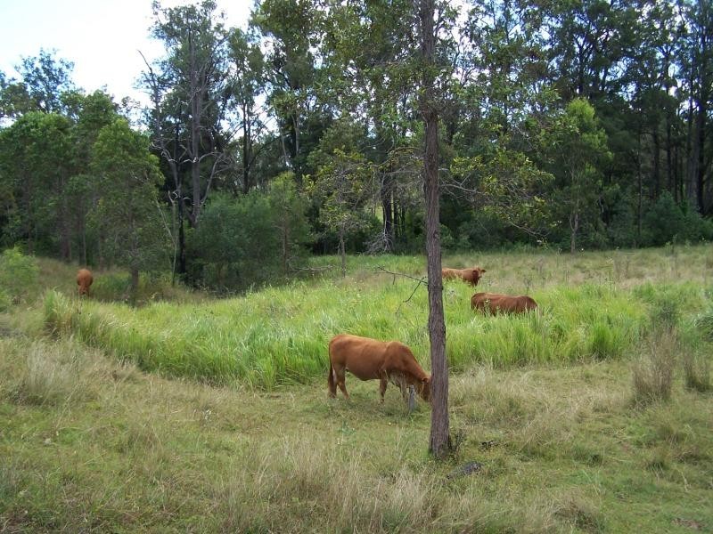 Glen Echo QLD 4570