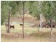 Cinnabar QLD 4600
