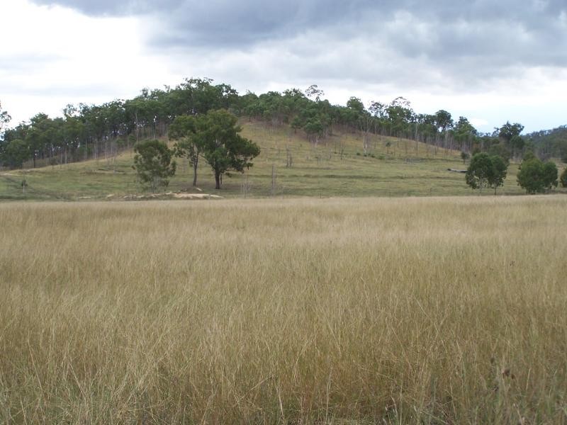 Cinnabar QLD 4600