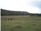 Cinnabar QLD 4600
