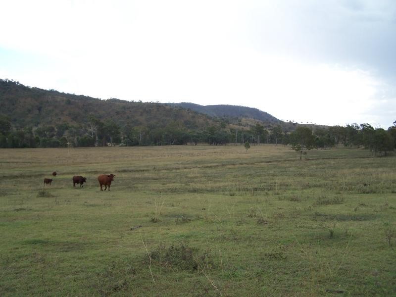 Cinnabar QLD 4600