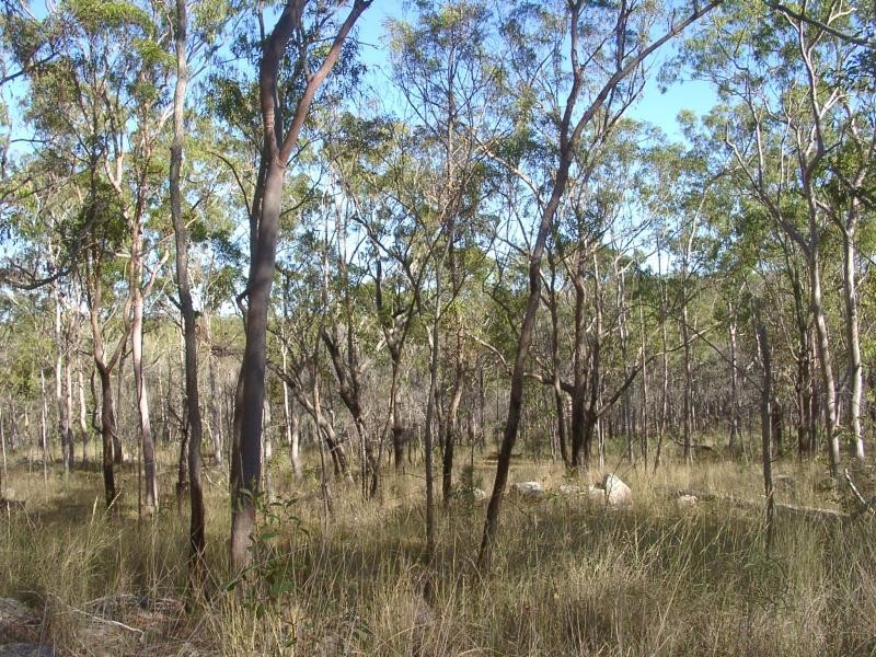 Lot 291/ Auburn Hills Road, Didcot QLD 4621