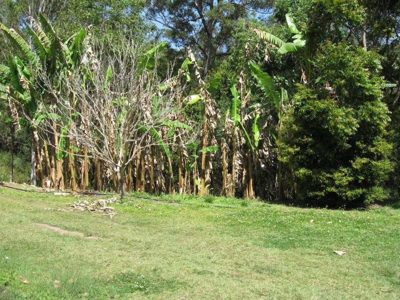 Wolvi QLD 4570