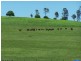 Sexton QLD 4570