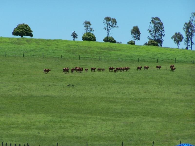 Sexton QLD 4570
