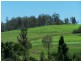 Sexton QLD 4570