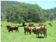 Sexton QLD 4570