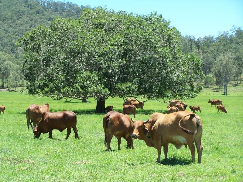Sexton QLD 4570