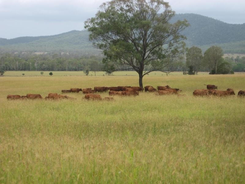 Lower Wonga QLD 4570