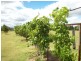 15 WONGA CT, Lower Wonga QLD 4570