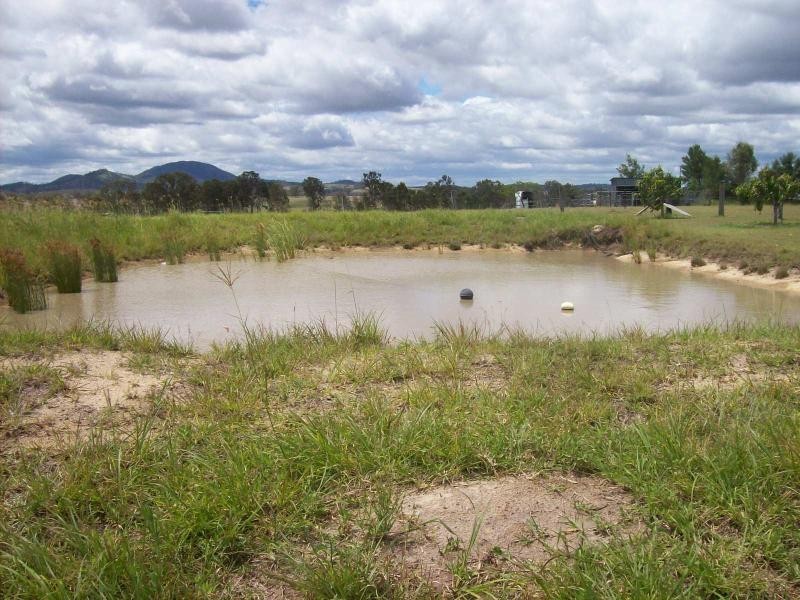 15 WONGA CT, Lower Wonga QLD 4570