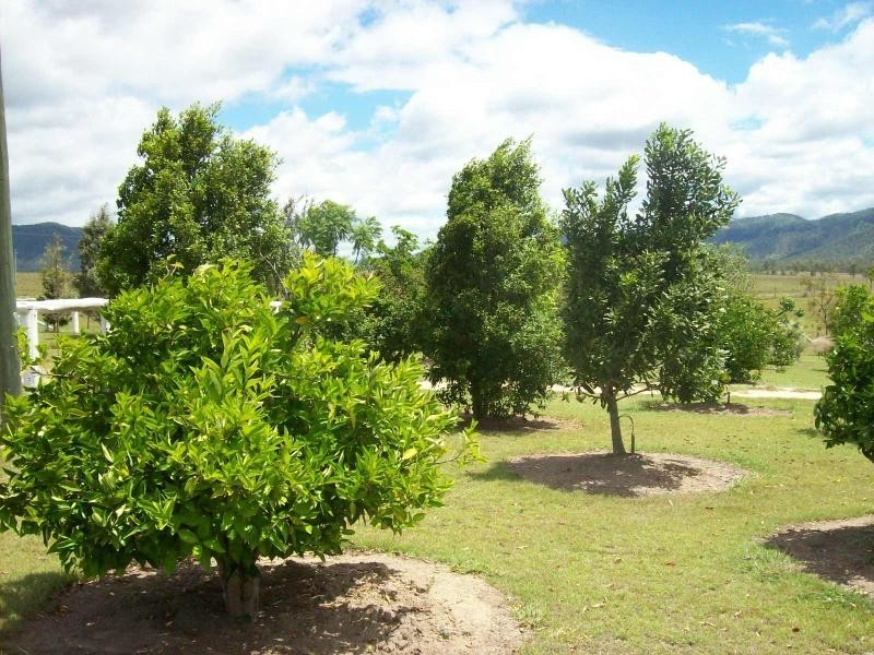15 WONGA CT, Lower Wonga QLD 4570