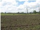 Tansey QLD 4601