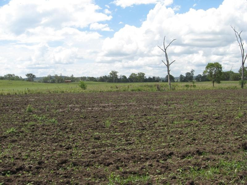 Tansey QLD 4601