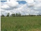 Tansey QLD 4601
