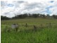 Tansey QLD 4601