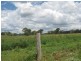 Tansey QLD 4601