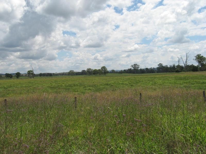 Tansey QLD 4601