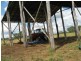 Tansey QLD 4601