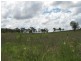 Tansey QLD 4601