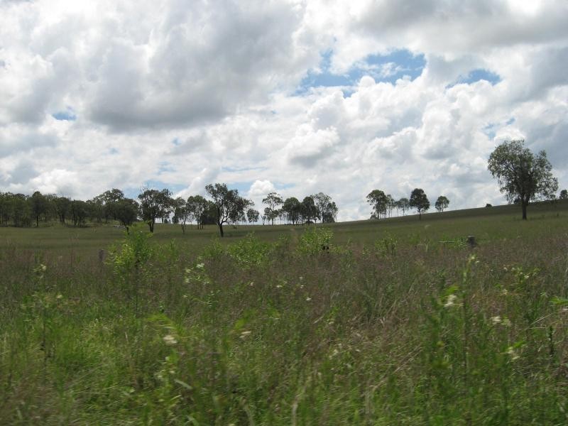Tansey QLD 4601
