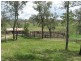 Tansey QLD 4601