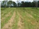 Lot 18/ Pine Ridge Rd, Glenwood QLD 4570