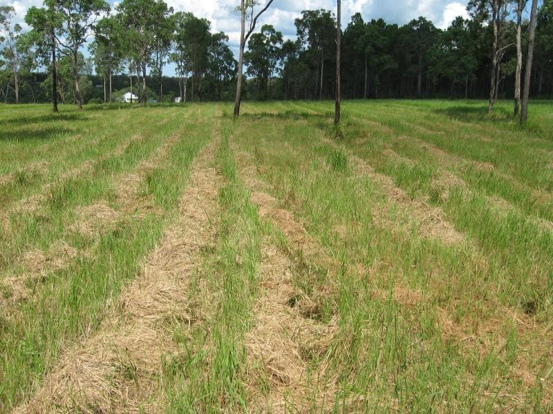 Lot 18/ Pine Ridge Rd, Glenwood QLD 4570