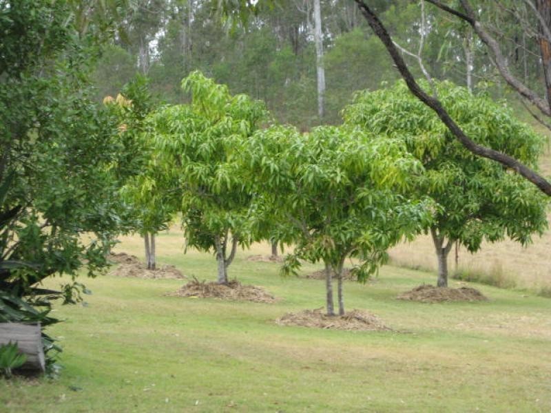 60 Lower wonga Hall Rd, Lower Wonga QLD 4570