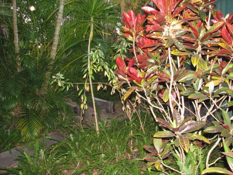 26 Sweetlip Crct, Tin Can Bay QLD 4580