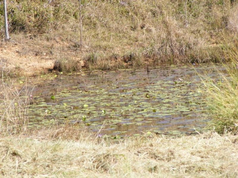 Lot 8/ Cavanagh Road, Greens Creek QLD 4570