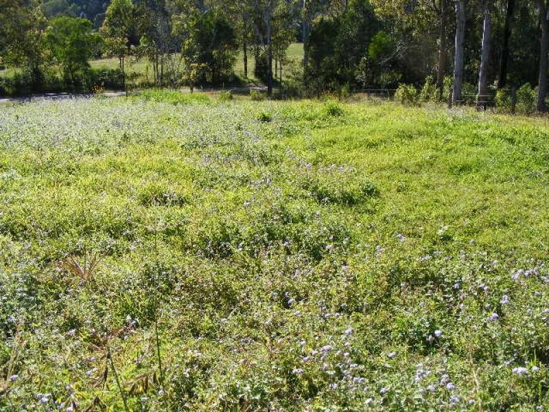 Upper Kandanga QLD 4570