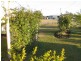 49 Mariposa Place, Cooloola Cove QLD 4580