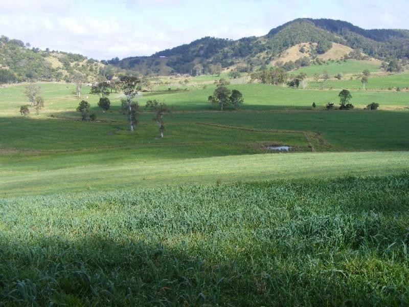 700 Neusavale Road, Neusa Vale QLD 4570