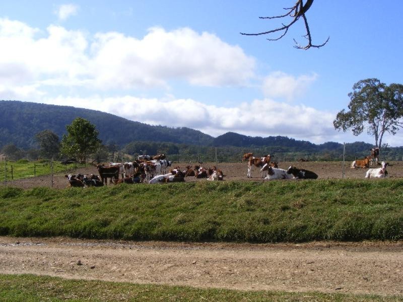 700 Neusavale Road, Neusa Vale QLD 4570