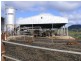 700 Neusavale Road, Neusa Vale QLD 4570