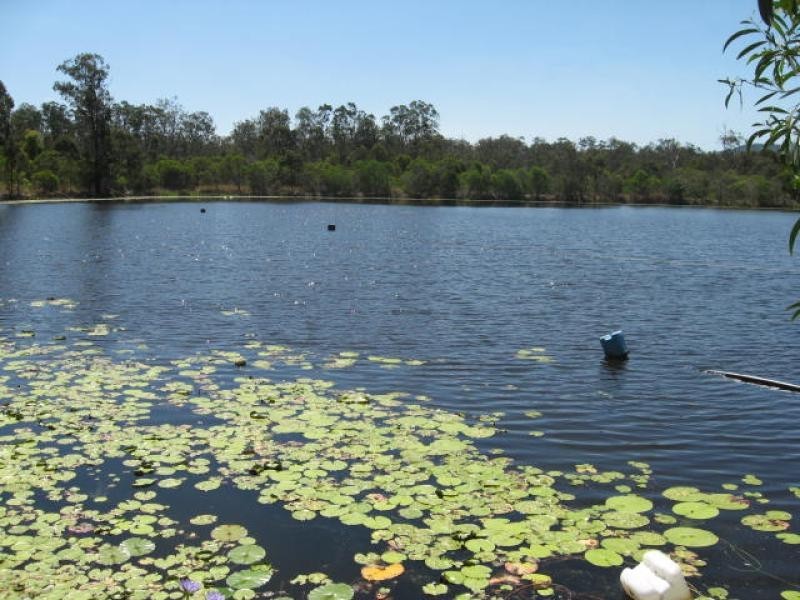 380 Hermans Rd, Gunalda QLD 4570