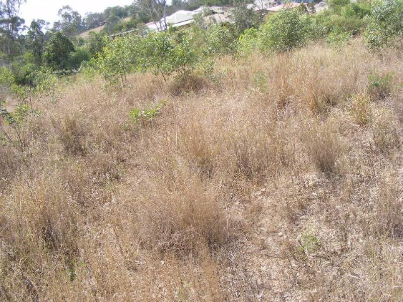 Lot 1/ Drummond Drive, Glanmire QLD 4570