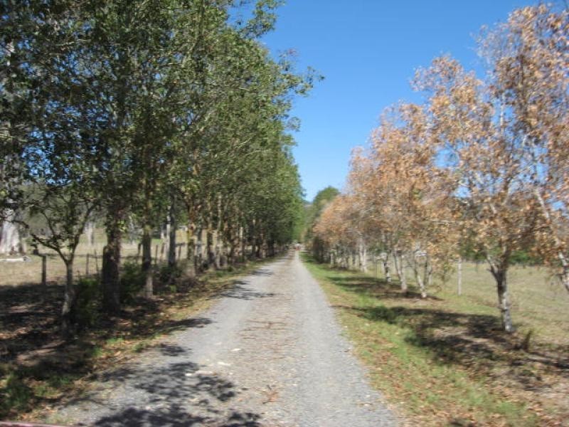 Mothar Mountain QLD 4570